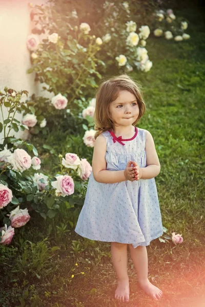 Šťastné dítě baví. Dítě stojící bosá na rozkvetlé květy růže na zelené trávě — Stock fotografie