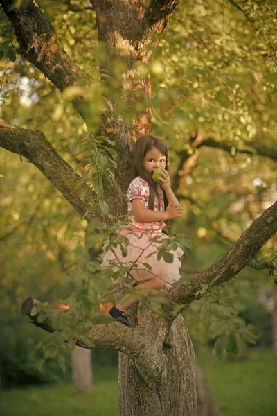 Ευτυχισμένο παιδί διασκεδάζοντας. Το παιδί με τα φρούτα στο δέντρο μηλιάς, βιταμίνη — Φωτογραφία Αρχείου