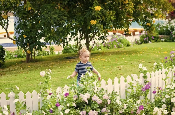 Boldog gyerek szórakozik. kicsi fiú gyermek nyitott fehér fából készült kerítés közelében — Stock Fotó