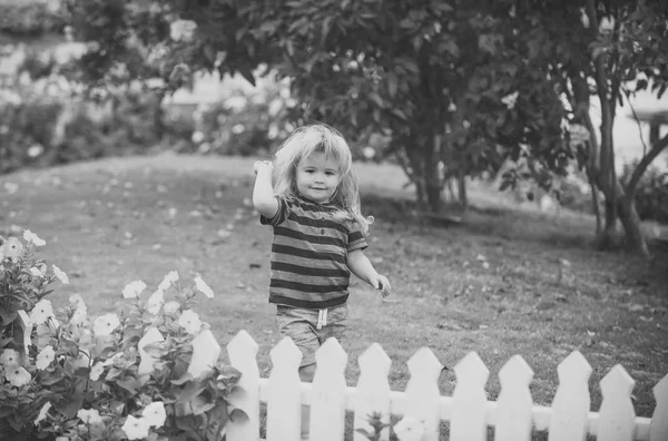 Dítě nebo šťastný malý chlapec venkovní poblíž bílý dřevěný plot. Děti hrají s hračkami. — Stock fotografie