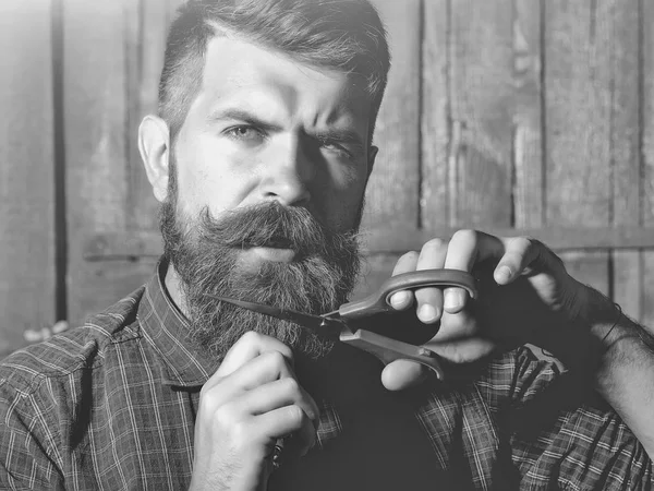 Člověk při pohledu na fotoaparát. barber, vousatý muž s nůžkami — Stock fotografie