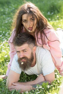 Küstah genç çift çimenli alan üzerinde. Güzel esmer kız pembe gömlek ve sakallı adam papatya veya papatya çiçek ağızlarında yalan çiçekli çayır, ilişki kavramı ile.
