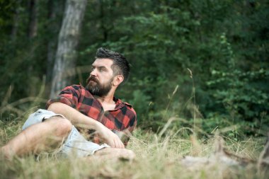 Acımasız adam park veya orman çim üzerinde yalan. Ormanda kamp. Sakallı adam tarafına bakarak blues gözlü. Yaz eğlence etkinlik kavramı.