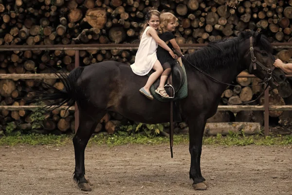 Mädchen reiten an einem Sommertag zu Pferd — Stockfoto