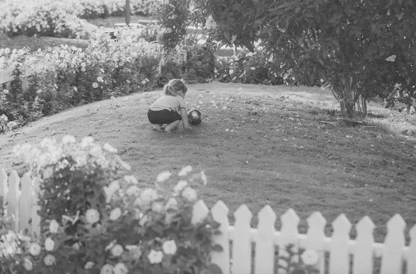 Çocuk oyun yeşil çimenlerin üzerinde topu ile pastoral gün — Stok fotoğraf