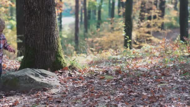 Um menino e uma menina na natureza, na floresta, na floresta. Família feliz andando com o cão na floresta. Menina feliz se divertir brincando com folhas douradas caídas . — Vídeo de Stock