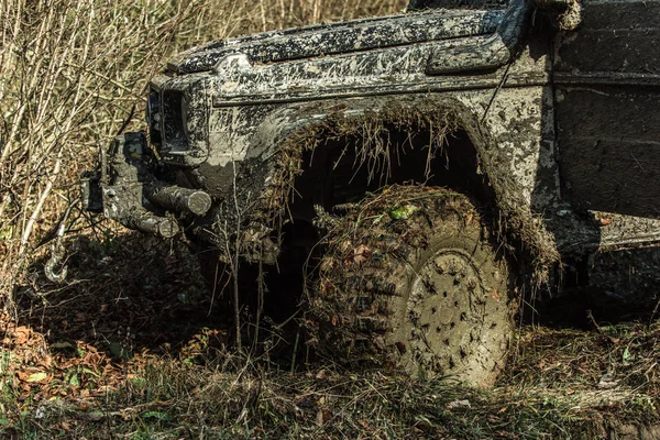 자동차 배경가 자연의 조각입니다 화창한 자동차입니다 진흙으로 엔터테인먼트 — 스톡 사진