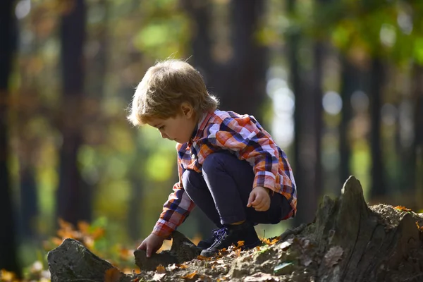 Höst Semester Och Camping Aktivitet Och Aktiv Vila För Kid — Stockfoto