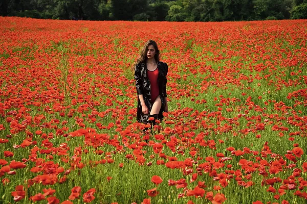 Mulher sensual. Poppy, Dia da lembrança, Dia de Anzac . — Fotografia de Stock