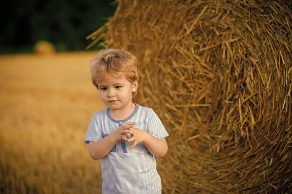 Kids playing - happy game. Summer, harvest season