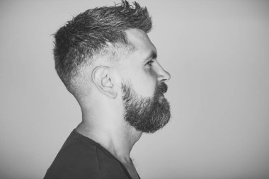 Ciddi adam. Hipster sakallı yüzü profil ve şık saç
