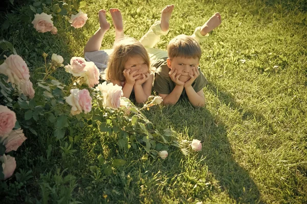 Kids enyoj happy day. Boy and girl at blossoming rose flowers on lawn — Stock Photo, Image