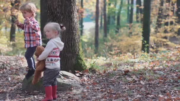 Bedårande liten flicka vandring i skogen sommardag. Lyckligt barn flicka i skogen. Liten unge spelar i hösten på den natur promenaden. Lycklig familj promenader med hunden i skogen. — Stockvideo