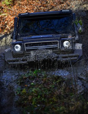 Siyah crossover aracılığıyla kir doğa ile arka plan üzerinde sürüş. Crossover ormanda güneşli sonbahar gününde engellerin üstesinden gelir. SUV derin su birikintisine sıkışmış çamur kaplı. Güçlü araba konsepti.
