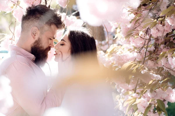 Passion and love concept. Man and woman kissing in blooming garden on spring day. Couple in love spend time in spring garden, flowers on background, defocused, close up. Couple hugs near sakura trees.