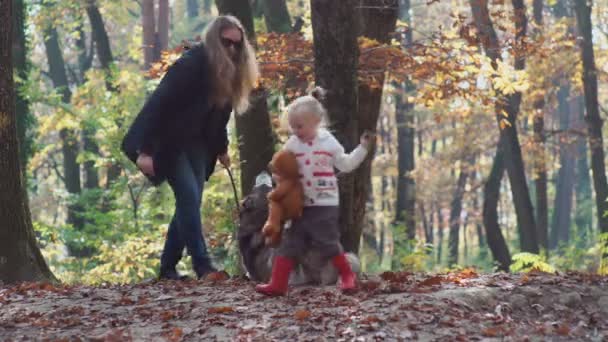 Happy little child, baby girl laughing and playing in the autumn on the nature walk outdoors. — Stock Video