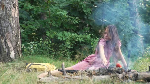 2 つの若い女性ピンのアップ スタイルは、夕暮れの公園でのピクニックで楽しんで。夏、休日、休暇、幸せな人々 のコンセプト - 笑顔のガール フレンド。ピクニック ガール フレンド. — ストック動画