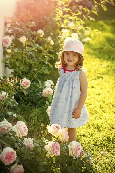 Child Childhood Children Happiness Concept. Child standing at blossoming rose flowers on green grass — Stock Photo, Image