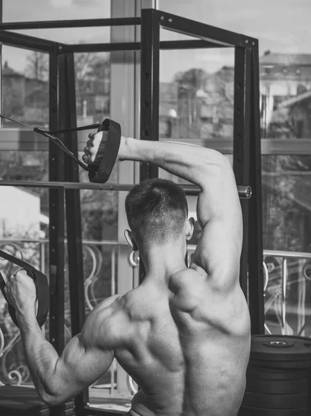 Esportista, atleta, musculoso macho faz exercício com loops trx, janela no fundo, de perto. Conceito de desporto e ginásio. Homem com tronco nu, e muscular de volta no ginásio desfrutar de treinamento, trx — Fotografia de Stock