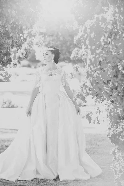 Лицо девушки для обложки журнала. Портрет девушки в рекламе. Невеста в белом свадебном платье позирует возле розового куста . — стоковое фото