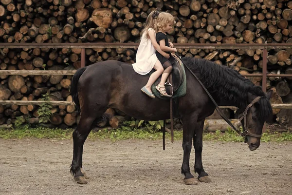 Glückliches Kind, das Spaß hat. Kinder sitzen im Reitersattel auf tierischem Rücken — Stockfoto