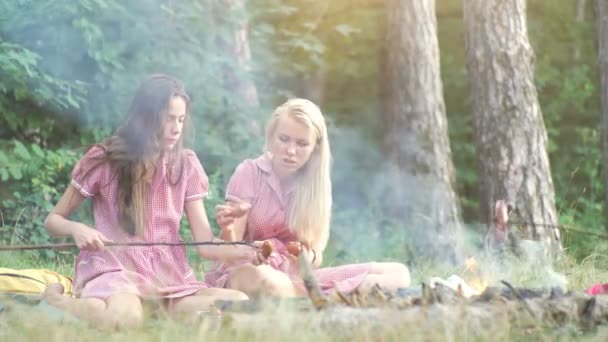 Twee jonge vrouwen in pin-up stijl met plezier op een picknick in het park in de zonsondergang. Zomer, vakantie, vakantie, gelukkige mensen concept - vriendinnen glimlachen. Vriendinnen op picknick. — Stockvideo