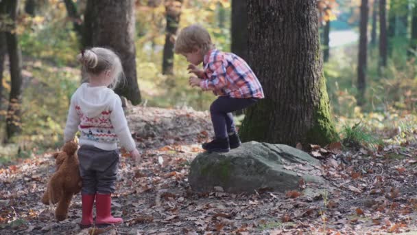 Adorable petite fille randonnée dans la forêt le jour de l'été. Joyeux enfant dans la forêt. Petit enfant jouant à l'automne sur la promenade en nature. Bonne promenade en famille avec chien dans la forêt . — Video