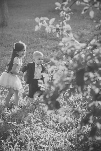 Kinder spielen - fröhliches Spiel. Bruder und Schwester spielen zusammen — Stockfoto