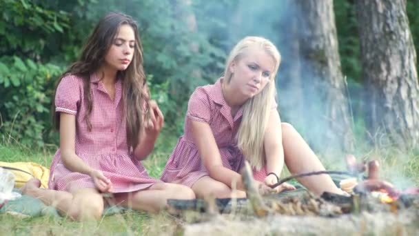 Groep vrienden met pic-nic in een park op een zonnige dag - mensen opknoping, plezier terwijl grillen en ontspannen. Groep vrienden ontspannen van het park op mooie herfstdag. — Stockvideo