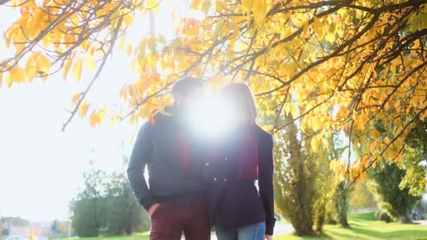 Érzéki fiatal pár szeretkezett. A pár a szerelem. Nagy őszi nap. — Stock videók