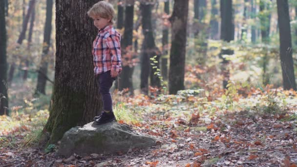 Un niño y una niña en la naturaleza, bosques, bosques. Familia feliz paseando con el perro en el bosque. Feliz niña se divierten jugando con hojas doradas caídas — Vídeos de Stock