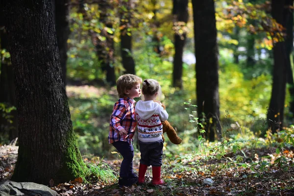 Petit Garçon Petite Fille Campant Dans Les Bois Automne Les — Photo