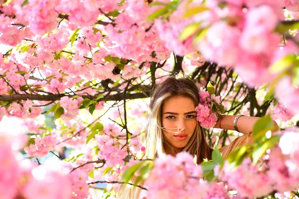 Våren Kvinna Körsbär Blomma Blommar Womens Dag Med Tjej Rosa — Stockfoto