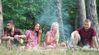 Güneşli bir günde - insanlar eğleniyor, ızgara ve rahatlatıcı asılı bir parkta piknik sahip arkadaş grubu. Parkta güzel sonbahar gününde rahatlatıcı arkadaş grubu.