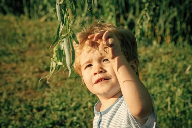 Küçük oğlan bakışı yeşil yaprakları ağaca, Bahar