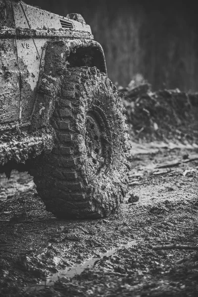 Fragment of suv with autumn nature on background. — Stock Photo, Image