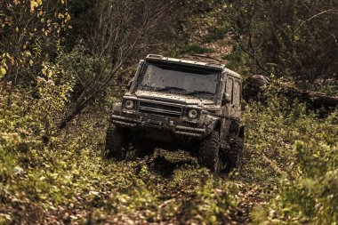 Kirli offroad araba arka plan üzerinde orman ile.