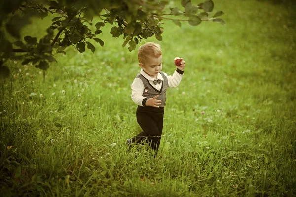 Niño con fruta de manzana en el jardín, salud —  Fotos de Stock