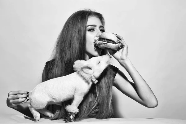 Kvinna ansikte skönhet. Flicka äter hamburgare med gris — Stockfoto