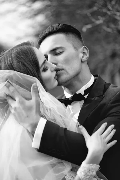 Kysser bröllopsparet. Par i kärlek. — Stockfoto