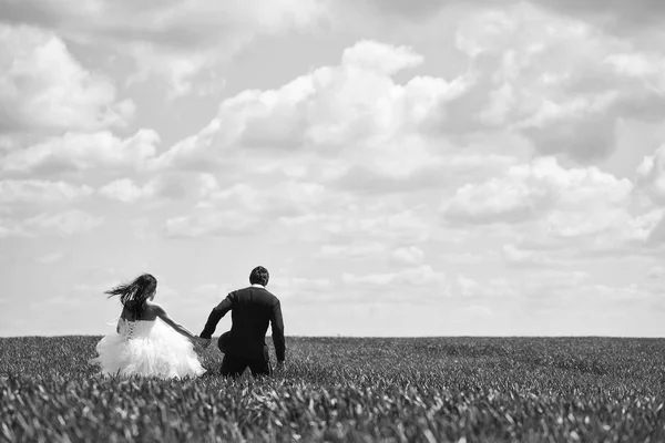 Um casal apaixonado. casamento casal na grama verde e céu azul — Fotografia de Stock