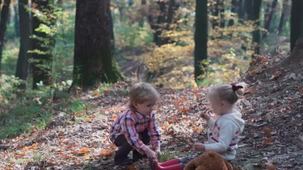 Premier amour. Des enfants dans la forêt. Des enfants dans la forêt. Fille et garçon jouant dans la forêt. Automne, été. Enfants heureux marchant dans la forêt . — Video