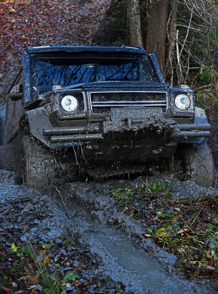 Siyah crossover aracılığıyla kir doğa ile arka plan üzerinde sürüş. SUV derin su birikintisine sıkışmış çamur kaplı. Azaltılmış vites kavramı. Crossover sonbahar gününde ormanda engellerin üstesinden gelir.