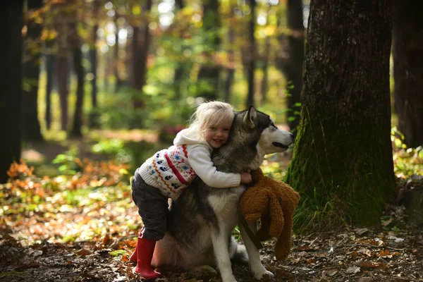 Ευτυχισμένη Κοριτσάκι Παίζει Μεγάλο Σκυλί Παραμονή Στο Δάσος — Φωτογραφία Αρχείου