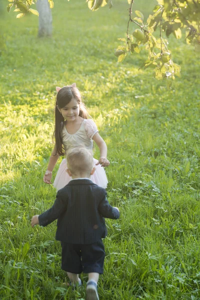 幼い男の子と女の子は 緑の草のエネルギーで再生します 子供の頃 兄と妹は 夏の日 活動に楽しい時を過します エネルギー ライフ スタイル — ストック写真