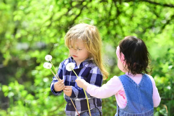 Mädchen Geben Löwenzahnblüte Für Jungen Frühling Oder Sommer Park Kinder — Stockfoto