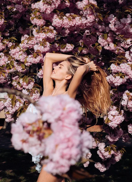 Sakura Bloem Schoonheid Natuur Sakura Blossom Met Sexy Vrouw Het — Stockfoto