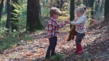 Sevimli küçük kız ormanda yaz gününde hiking. Ormandaki kız mutlu çocuk. Doğa yürüyüş sonbaharda oynayan küçük çocuk. Mutlu aile ile ormanda köpek yürüyüş