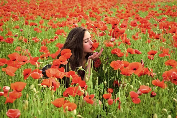 Beleza, verão, primavera, semente de papoula . — Fotografia de Stock