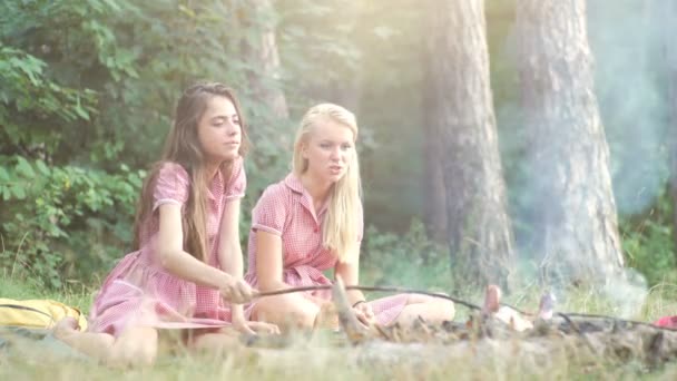 Dos mujeres jóvenes en estilo pin up divirtiéndose en un picnic en el parque al atardecer. Verano, vacaciones, vacaciones, gente feliz concepto - novias sonrientes. Novias en el picnic — Vídeos de Stock